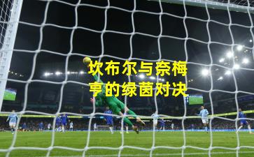 坎布尔与奈梅亨的绿茵对决