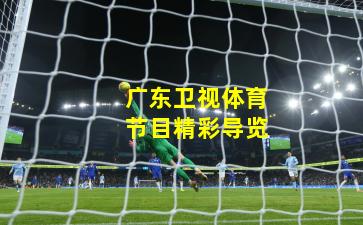 广东卫视体育节目精彩导览