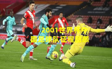 2001世界杯中国足球队征程回顾