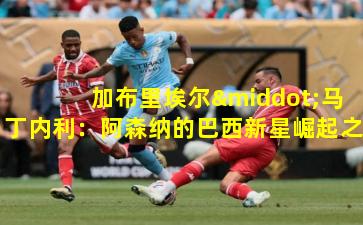 加布里埃尔·马丁内利:阿森纳的巴西新星崛起之路