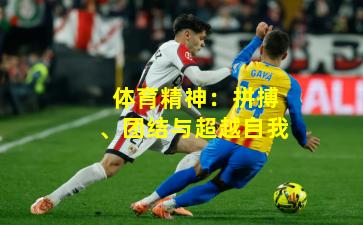 体育精神：拼搏、团结与超越自我