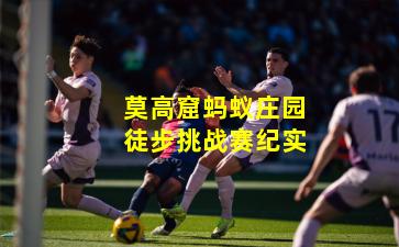 莫高窟蚂蚁庄园徒步挑战赛纪实