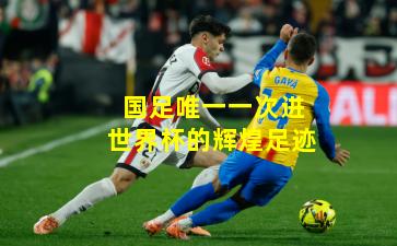 国足唯一一次进世界杯的辉煌足迹