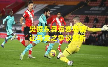 樊振东奥运赛场谦让马龙之争议解析