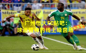 广州恒大FC贴吧:球迷精神的线上绿茵场