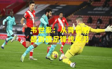 韦世豪：从青训翘楚到国足锋线尖刀