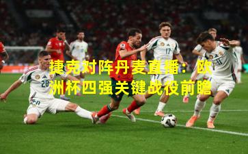 捷克对阵丹麦直播:欧洲杯四强关键战役前瞻