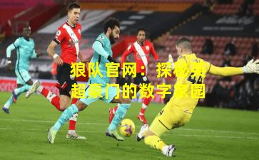 狼队官网：探秘英超豪门的数字家园